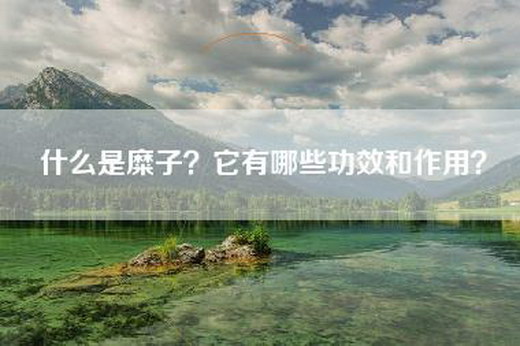 什么是糜子？它有哪些功效和作用？
