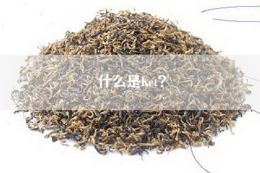 什么是Ket？