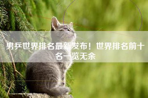 男乒世界排名最新发布！世界排名前十名一览无余