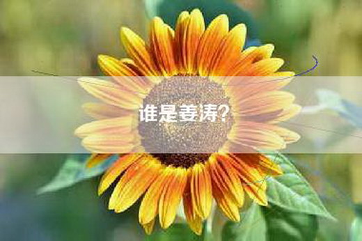谁是姜涛？