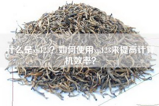 什么是xp123？如何使用xp123来提高计算机效率？
