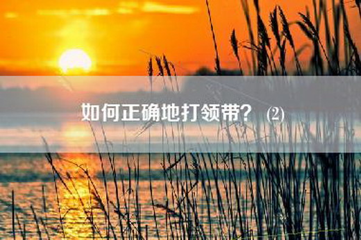 如何正确地打领带？ (2)