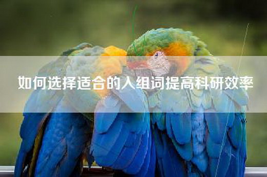 如何选择适合的入组词提高科研效率