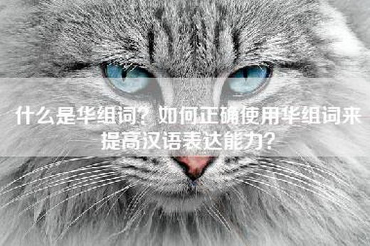 什么是华组词？如何正确使用华组词来提高汉语表达能力？