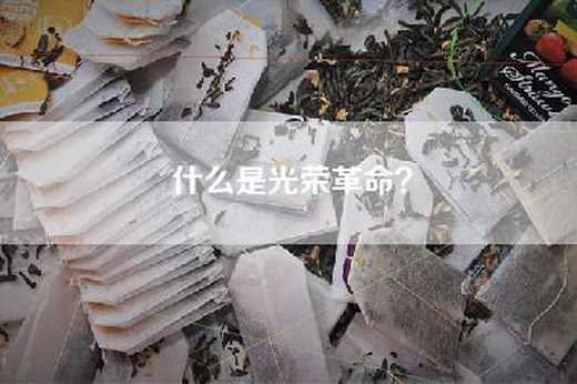 什么是光荣革命？