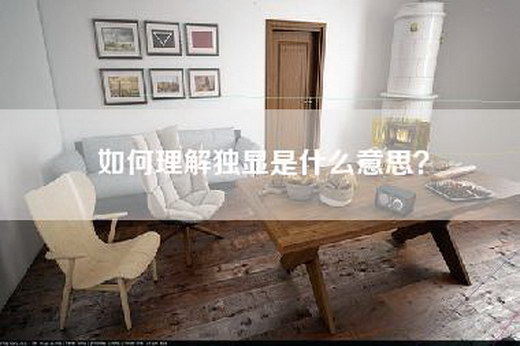 如何理解独显是什么意思？