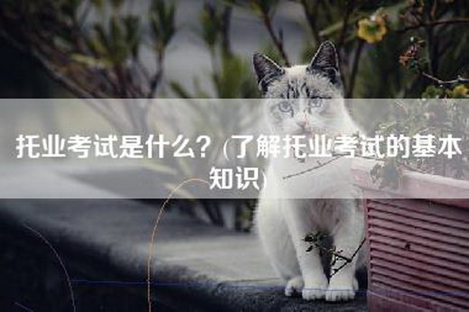 托业考试是什么？(了解托业考试的基本知识)