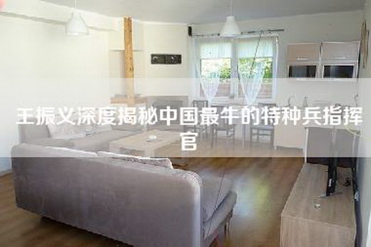 王振义深度揭秘中国最牛的特种兵指挥官