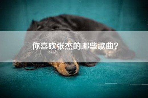 你喜欢张杰的哪些歌曲？