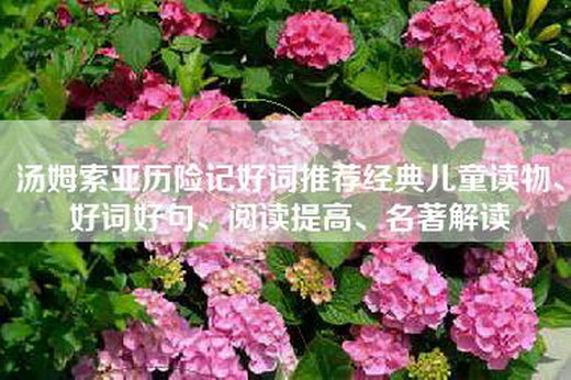 汤姆索亚历险记好词推荐经典儿童读物、好词好句、阅读提高、名著解读