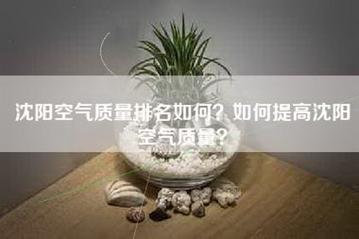 沈阳空气质量排名如何？如何提高沈阳空气质量？