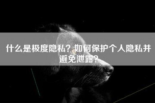 什么是极度隐私？如何保护个人隐私并避免泄露？