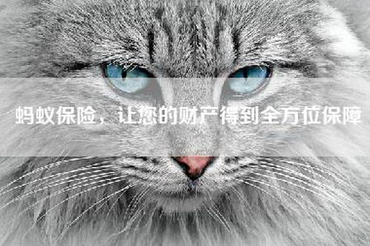 蚂蚁保险，让您的财产得到全方位保障