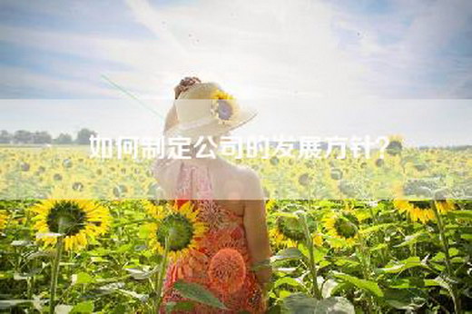 如何制定公司的发展方针？