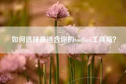 如何选择最适合你的toolbox工具箱？