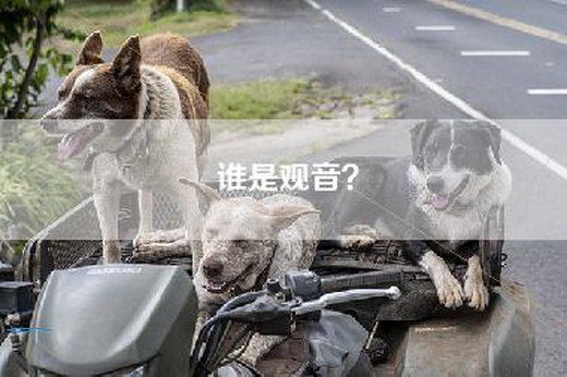 谁是观音？
