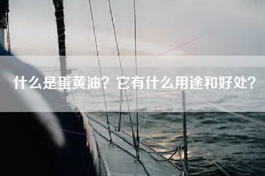 什么是蛋黄油？它有什么用途和好处？