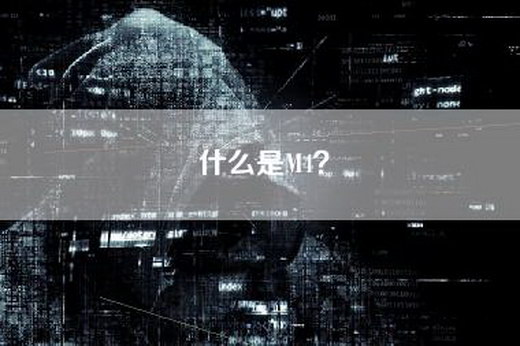 什么是M4？