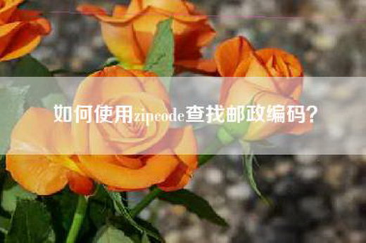 如何使用zipcode查找邮政编码？