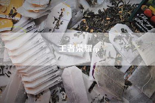 王者荣耀cp