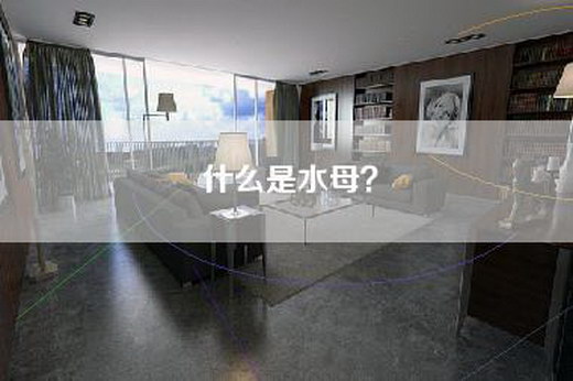 什么是水母？