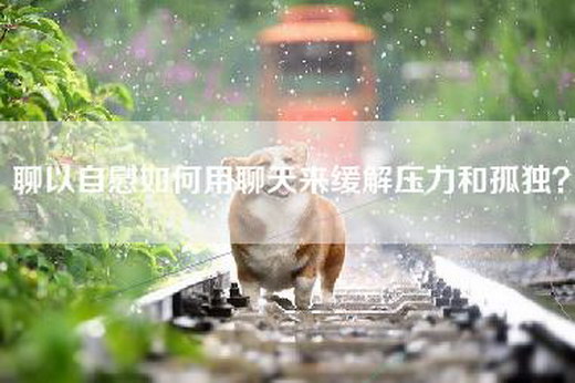 聊以=如何用聊天来缓解压力和孤独？