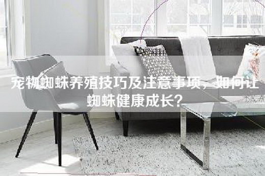 宠物蜘蛛养殖技巧及注意事项，如何让蜘蛛健康成长？