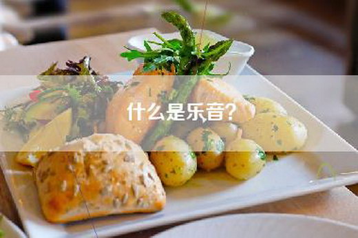 什么是乐音？