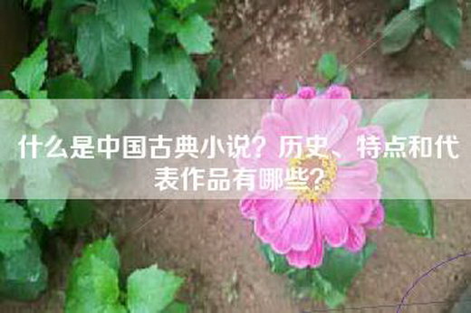 什么是中国古典小说？历史、特点和代表作品有哪些？