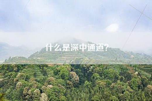 什么是深中通道？
