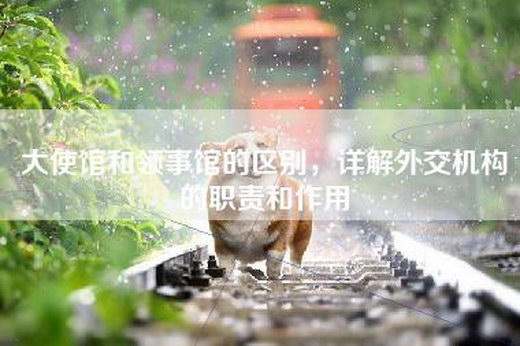 大使馆和领事馆的区别，详解外交机构的职责和作用