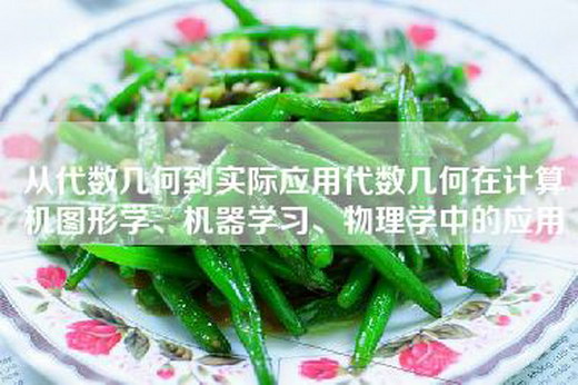 从代数几何到实际应用代数几何在计算机图形学、机器学习、物理学中的应用