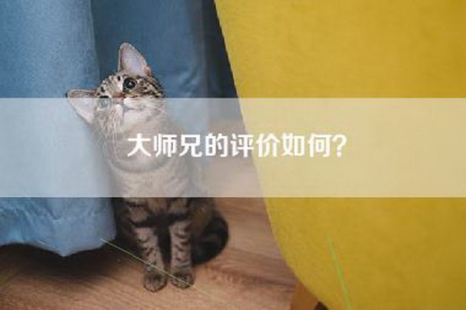大师兄的评价如何？
