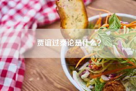 贾谊过秦论是什么？