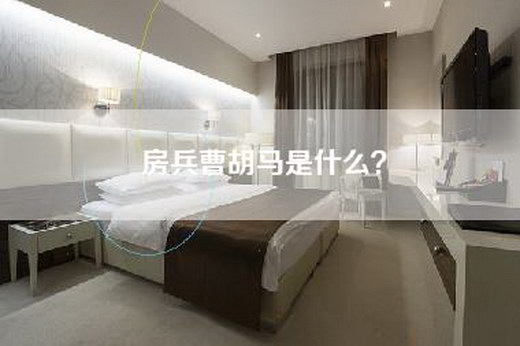 房兵曹胡马是什么？