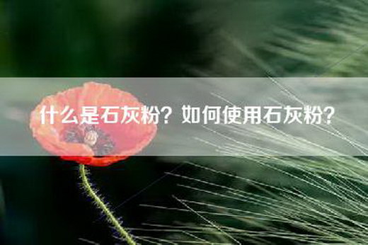 什么是石灰粉？如何使用石灰粉？
