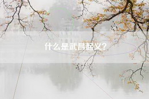 什么是武昌起义？