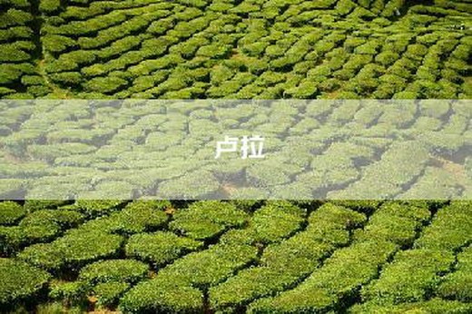 卢拉