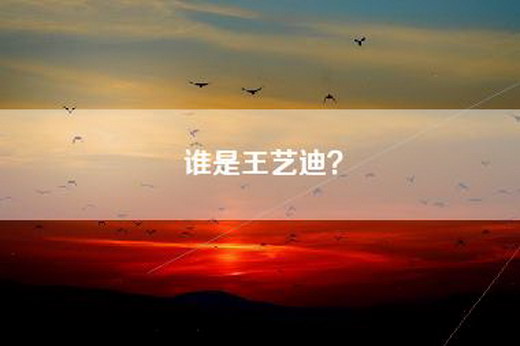 谁是王艺迪？