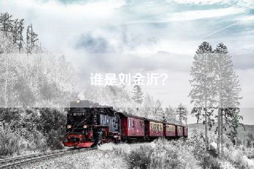谁是刘金沂？