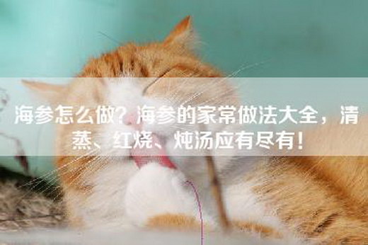 海参怎么做？海参的家常做法大全，清蒸、红烧、炖汤应有尽有！