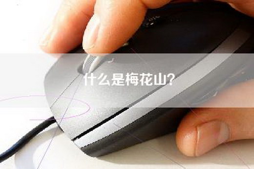 什么是梅花山？