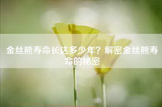 金丝熊寿命长达多少年？解密金丝熊寿命的秘密