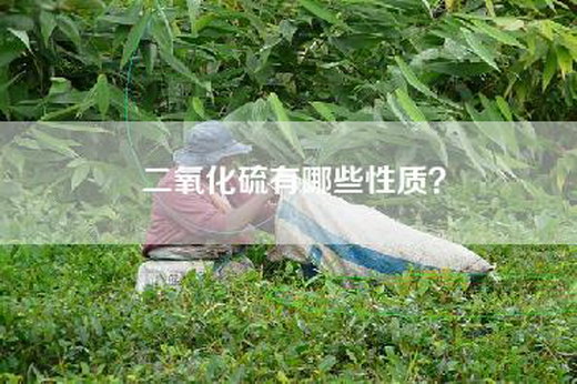 二氧化硫有哪些性质？