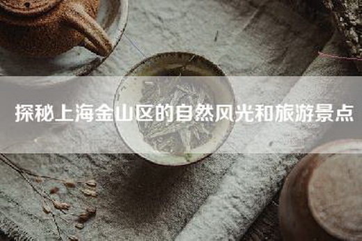 探秘上海金山区的自然风光和旅游景点