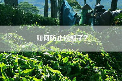 如何防止钓凯子？