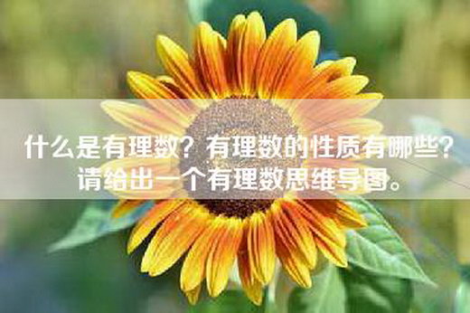 什么是有理数？有理数的性质有哪些？请给出一个有理数思维导图。