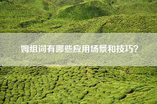 姆组词有哪些应用场景和技巧？