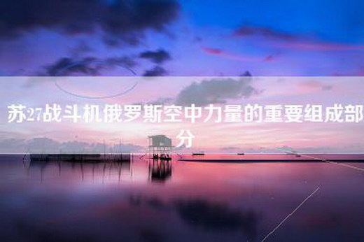 苏27战斗机俄罗斯空中力量的重要组成部分