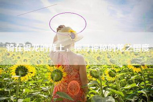 骑在银龙的背上，探寻神秘的龙之国度
